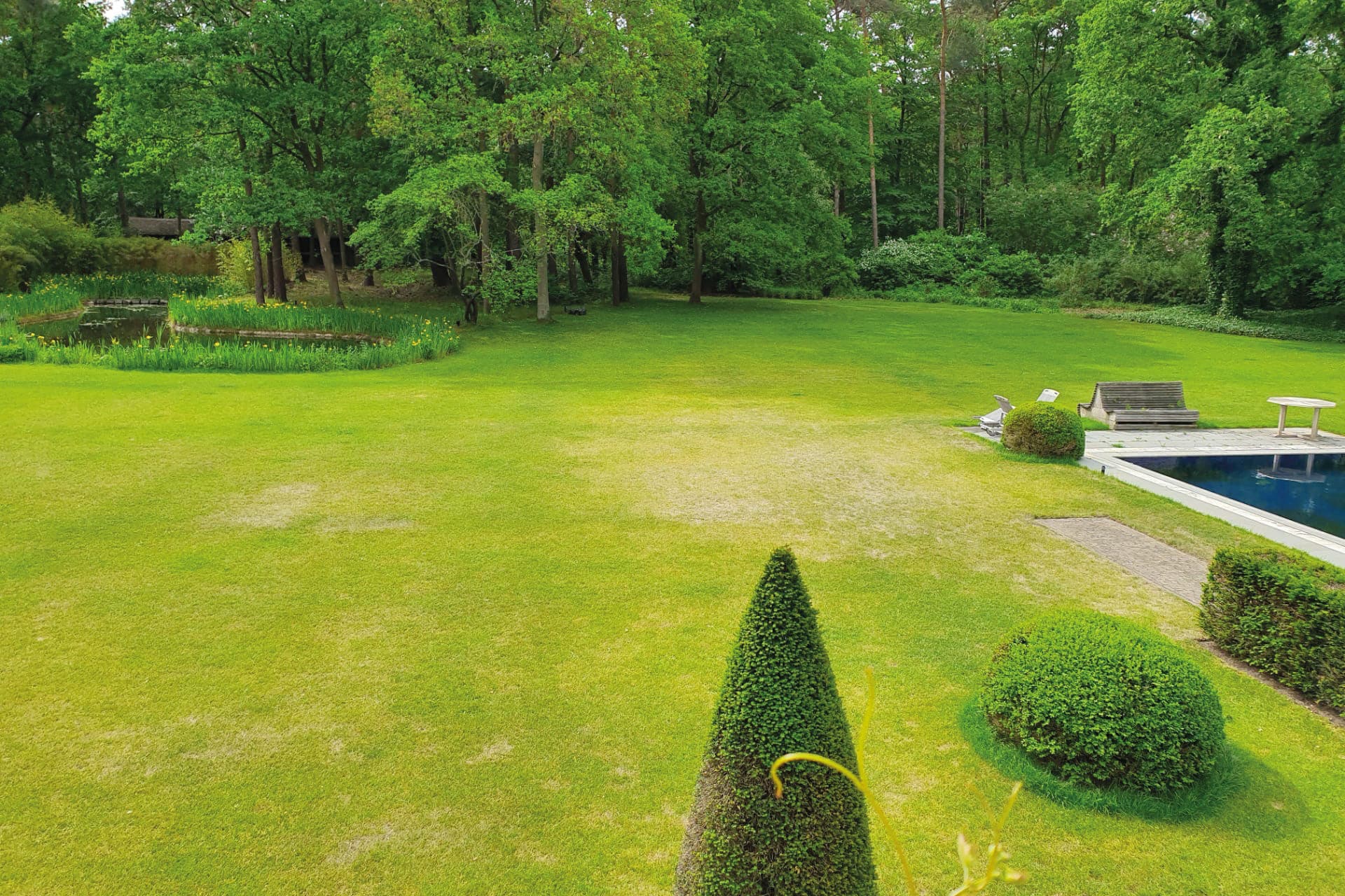 Tips voor gazonherstel na een hete zomer 4