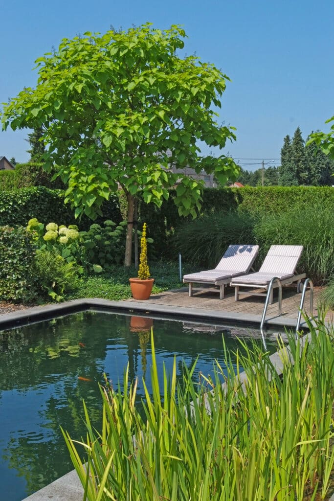 EPDM: de duurzame standaard voor natuurlijke (zwem)vijvers 2