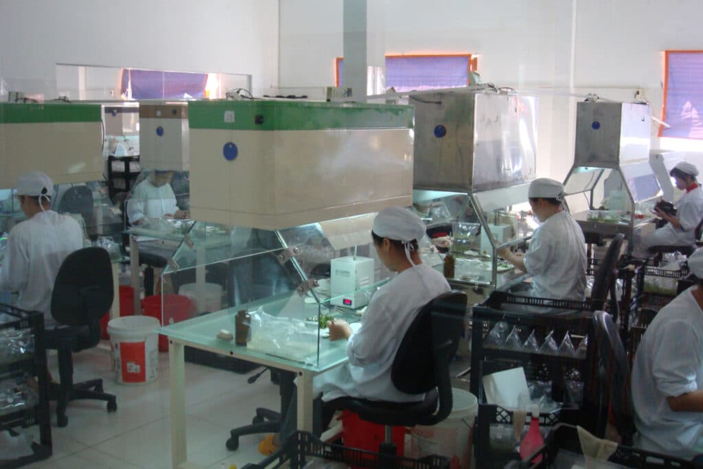 Denis-plants: Van potplantbedrijf naar innovatieve in-vitrokweker 1