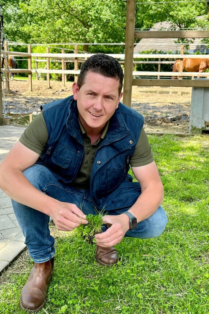 Microklaver zorgt voor een sterk gazon dat elk seizoen straalt 1