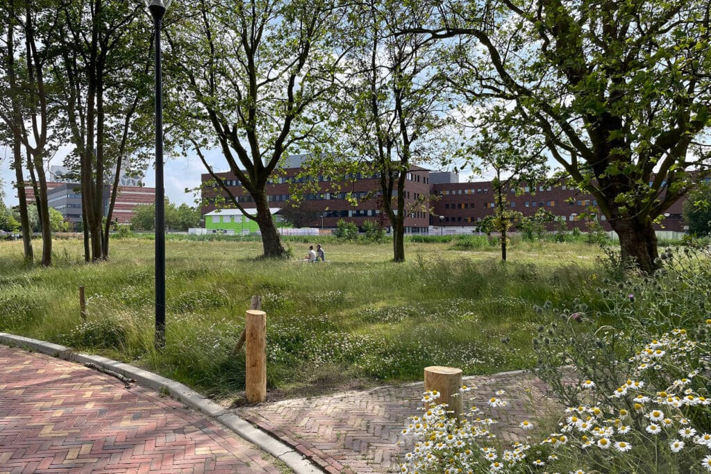 Evelien de Mey (EDM Tuin & Landschap) over de nieuwe rol van de landschapsarchitect 1