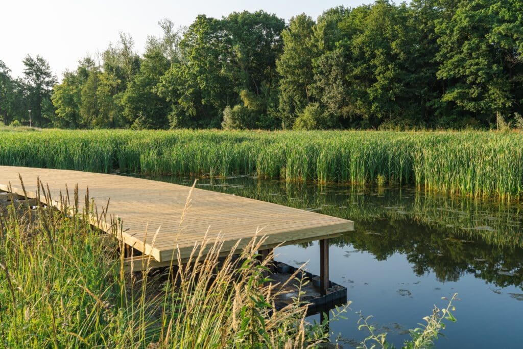 Aarschot opent eerste publieke natuurlijke zwemvijver van België 2