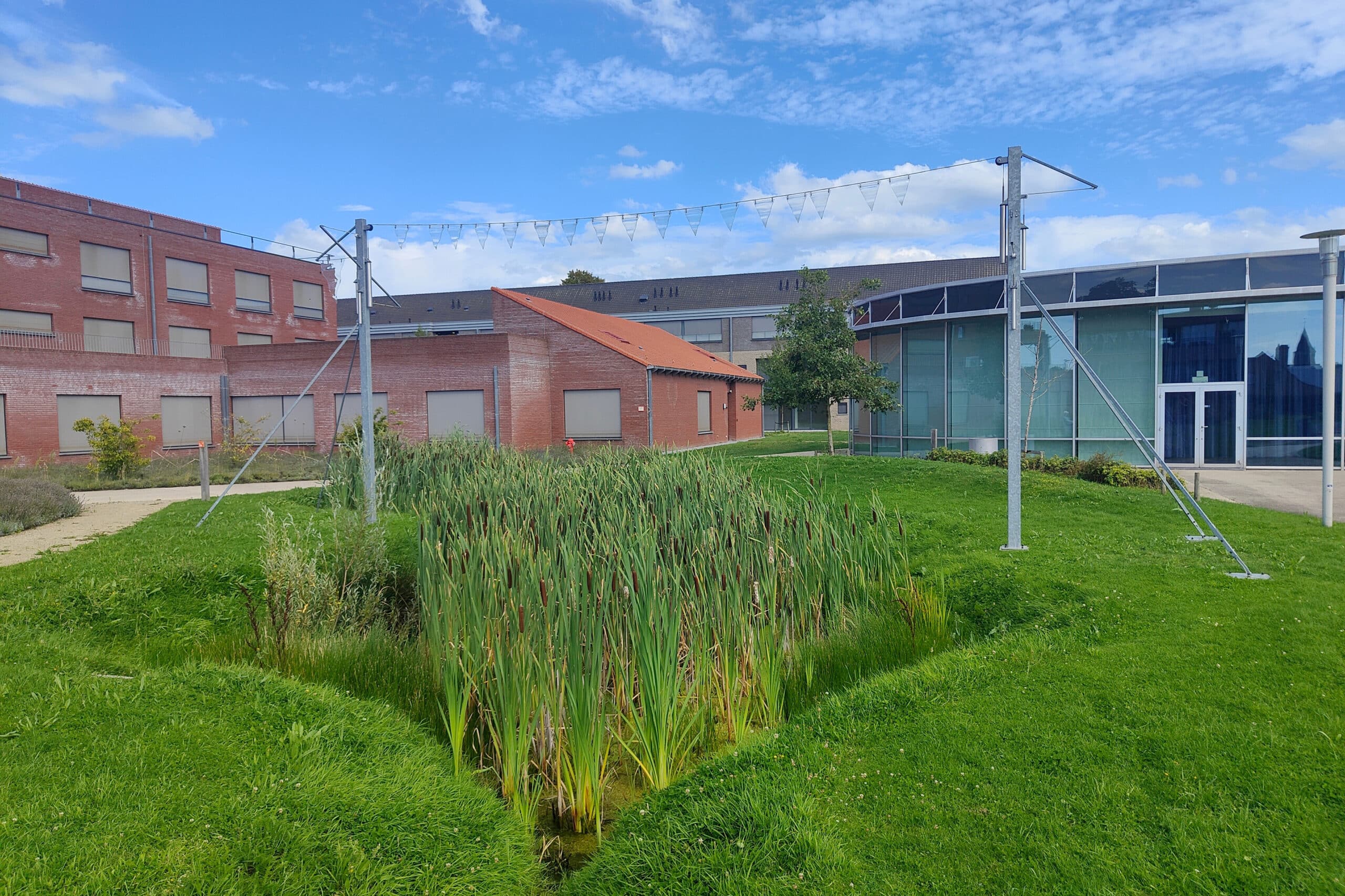 Acterra opent nieuwe site in Charleroi en zet in op duurzame, waterdoorlatende substraten 1