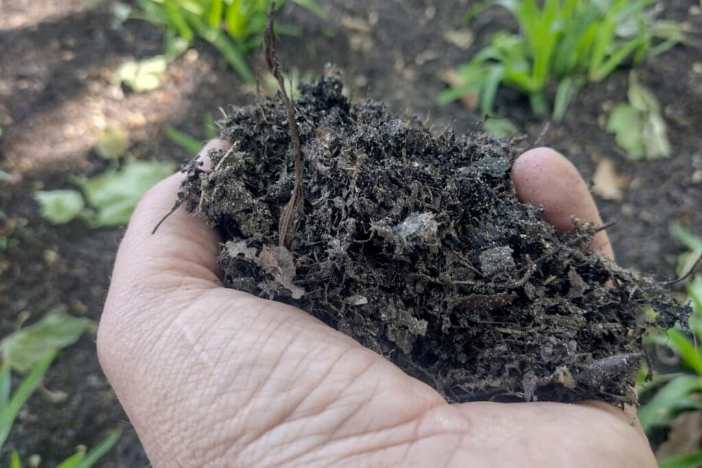 Waarom bladmulch onmisbaar wordt in duurzaam bodembeheer 2