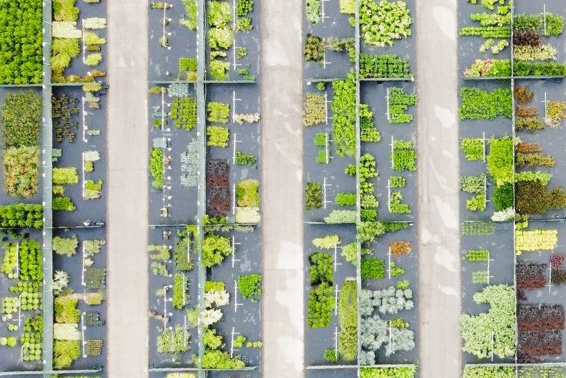 Willaert Boomkwekerij: 40 jaar sterke service voor groenprofessionals 2