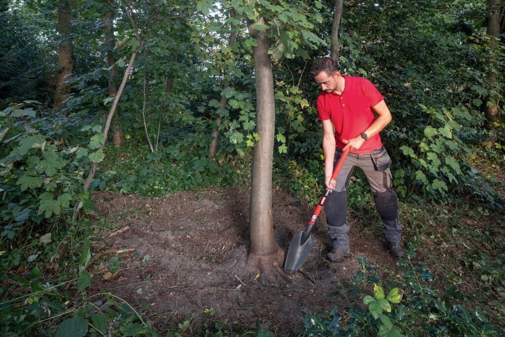 PoletDePypere Company: 100% Belgische, handgesmede tuingereedschappen 2