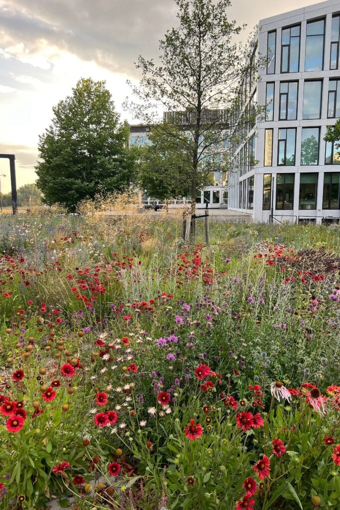Buyer Group Groenvoorzieningen: samen sterker voor biodivers groenbeheer 3