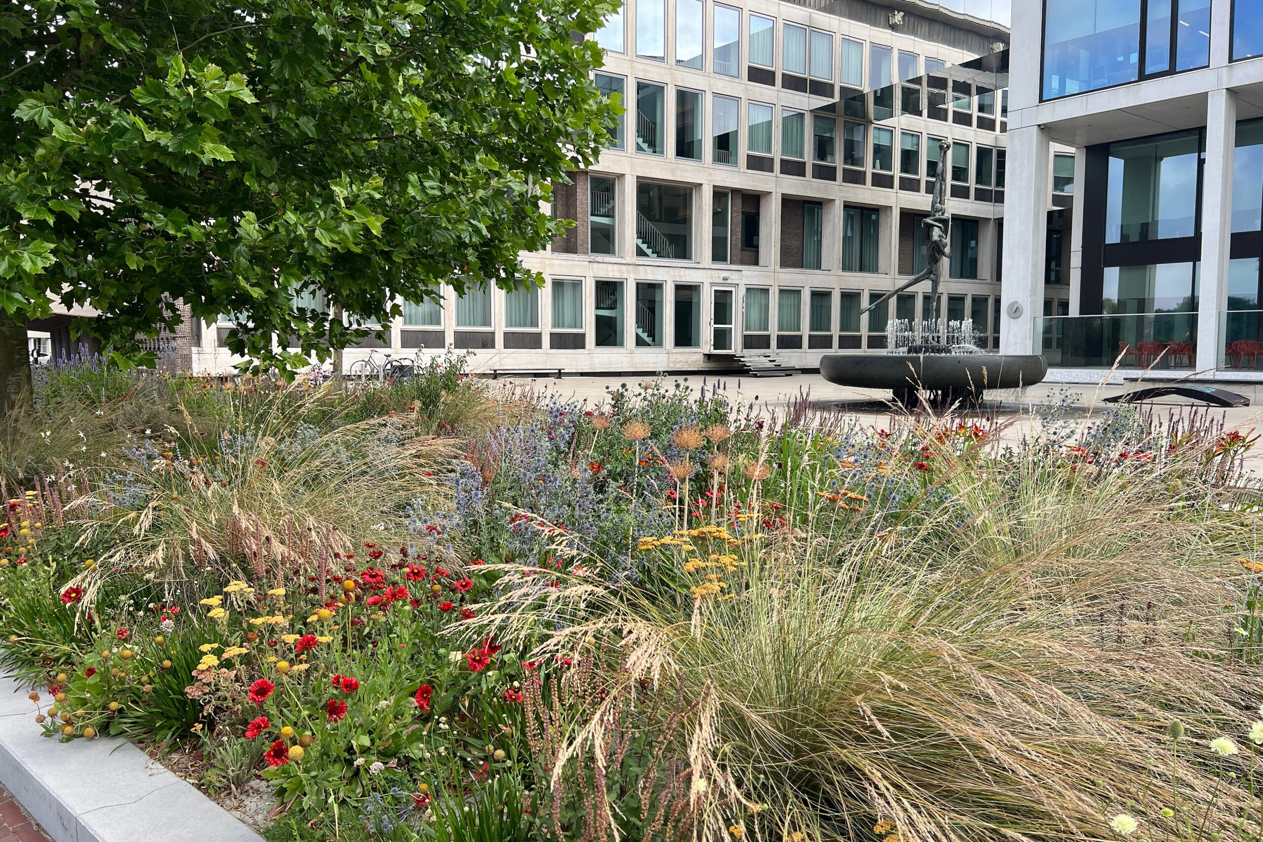 Buyer Group Groenvoorzieningen: samen sterker voor biodivers groenbeheer 1