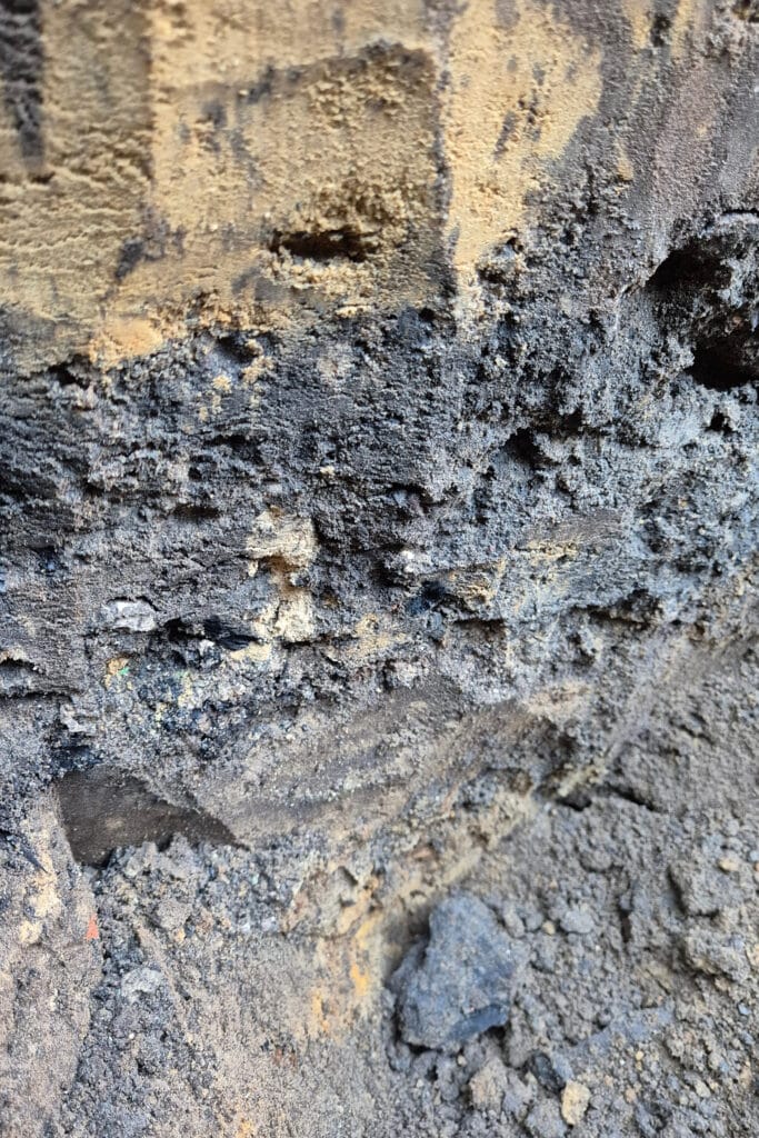 Bodempionier Marc Galle pleit voor meer zorg voor het bodemleven 1