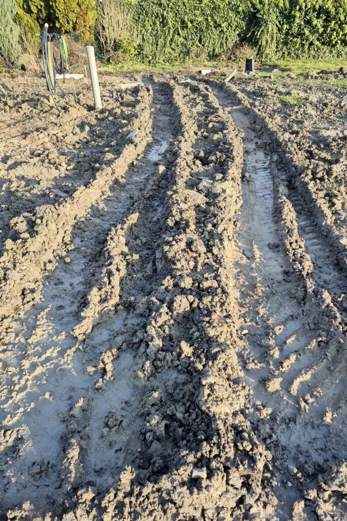 Bodempionier Marc Galle pleit voor meer zorg voor het bodemleven 2