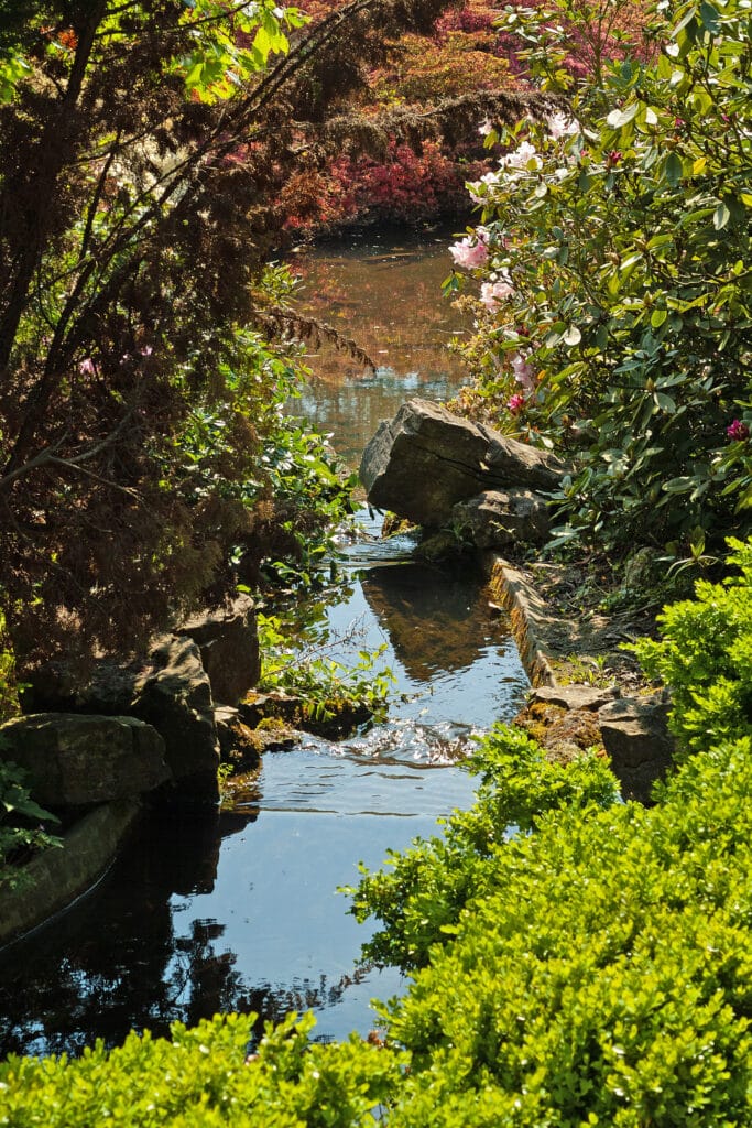 Vijvercluster in de tuin: meer biodiversiteit met meerdere kleine vijvers 2
