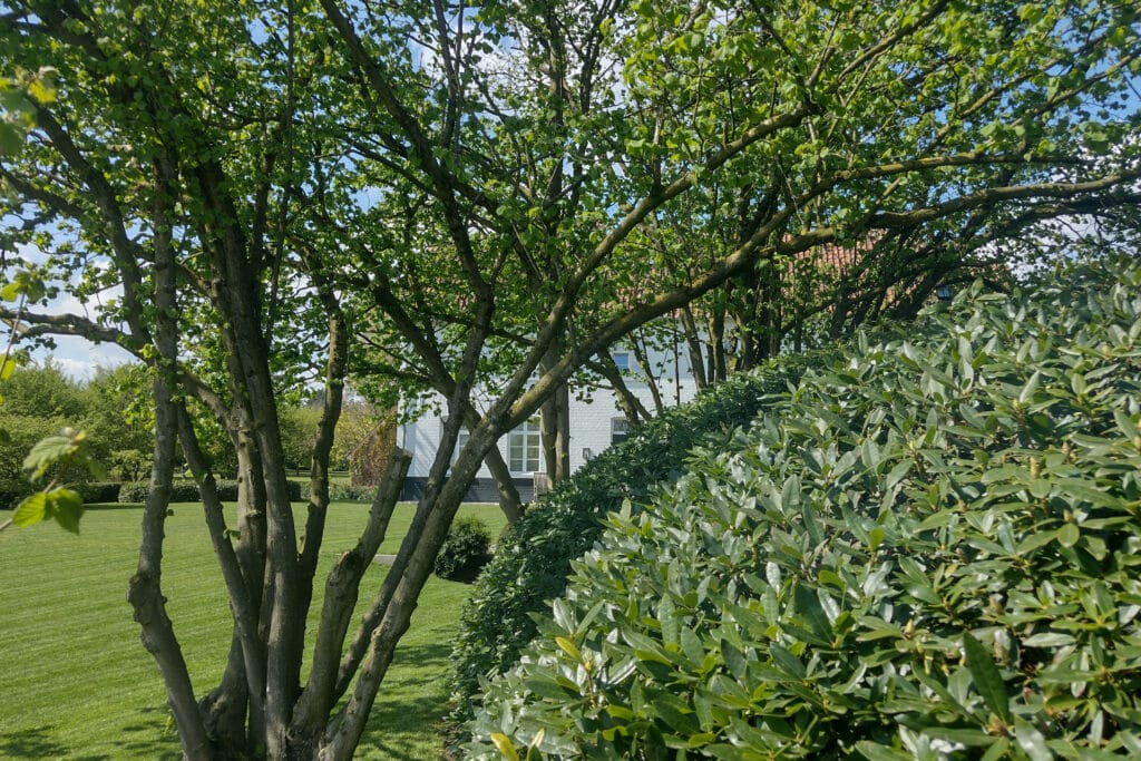 Bodemzorg en meststoffen voor professioneel groenbeheer 1