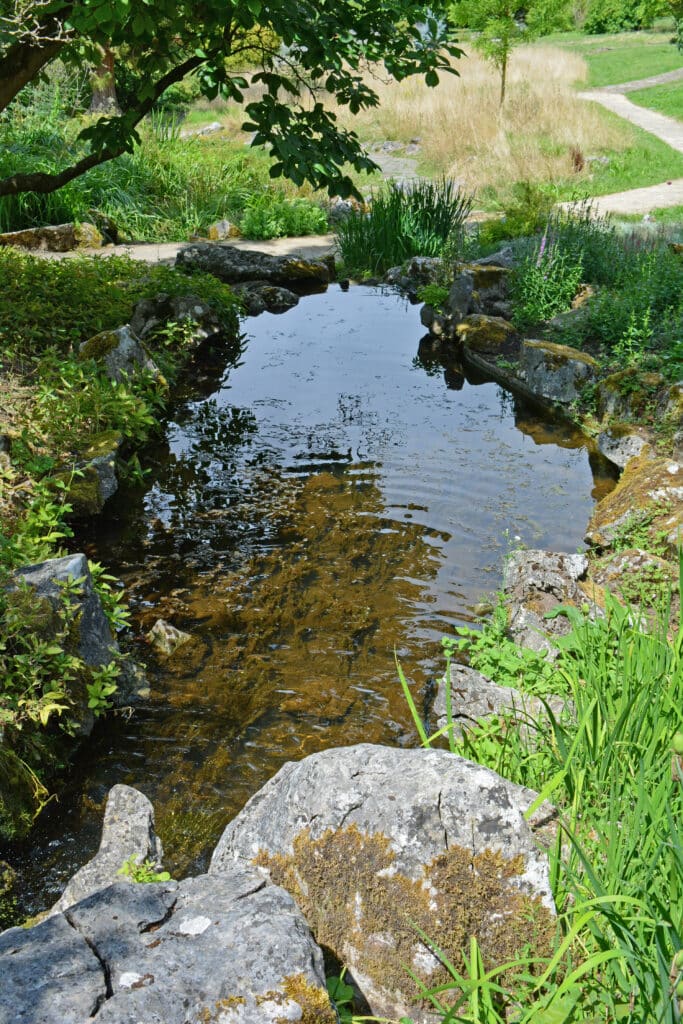 Vijvercluster in de tuin: meer biodiversiteit met meerdere kleine vijvers 3