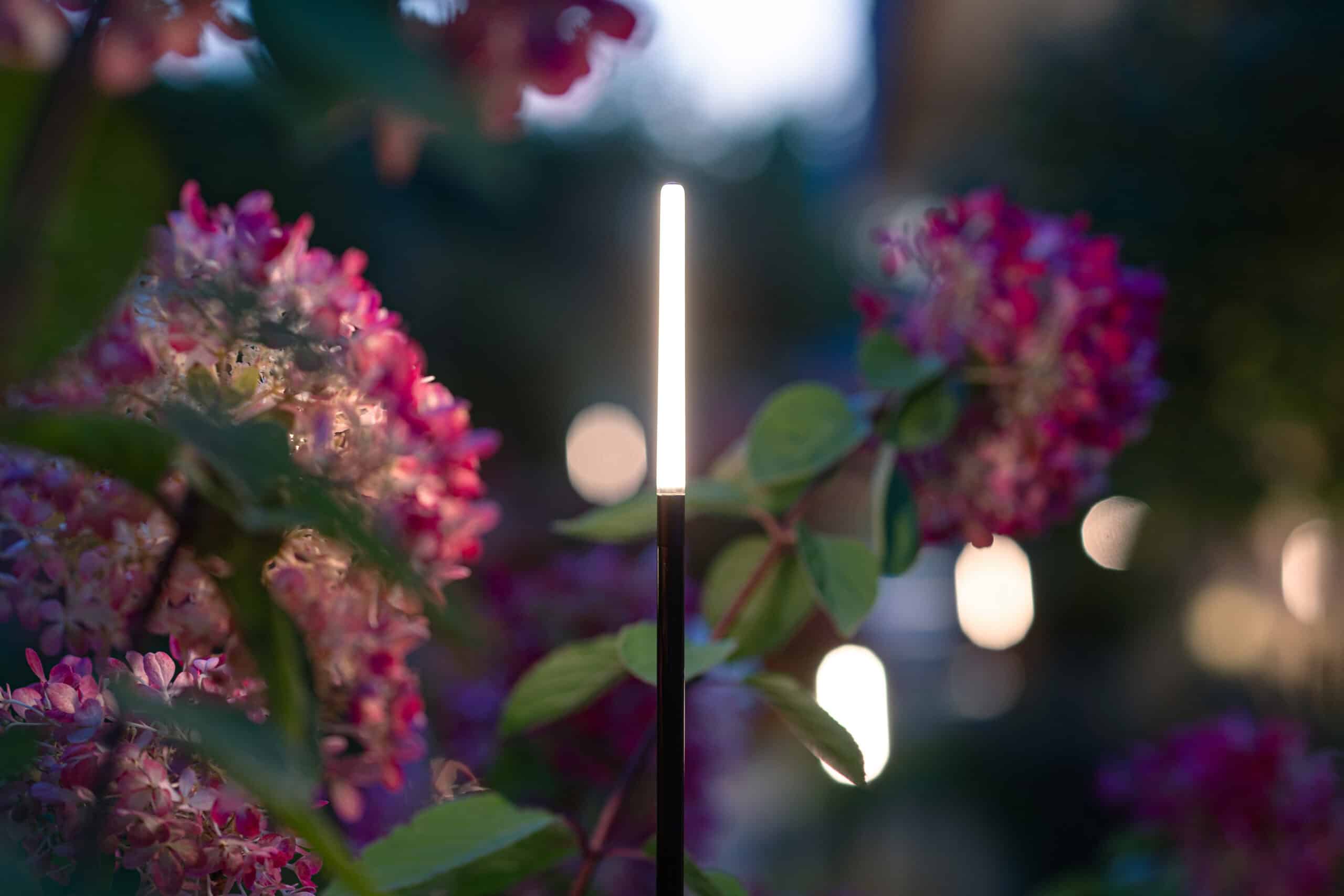 Dynamische tuinverlichting met BREEZE van in-lite zonder complexe programmatie 3