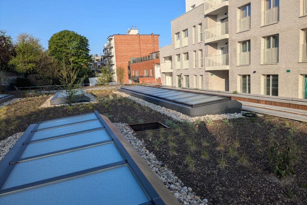 The Urban Jungle Project: daktuinen en biodiversiteit in de stad 2