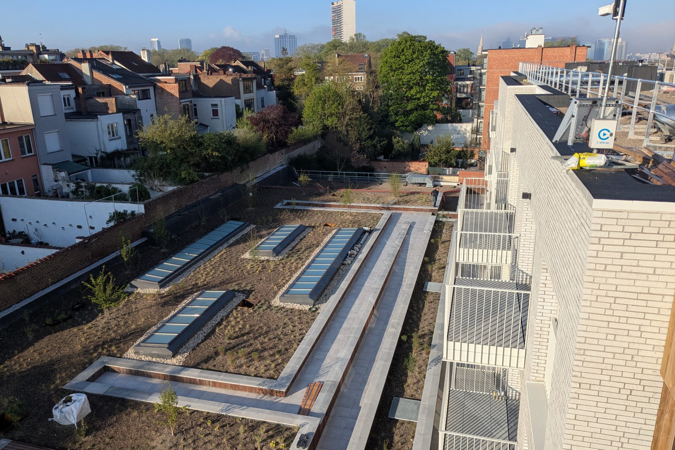 The Urban Jungle Project: daktuinen en biodiversiteit in de stad 1