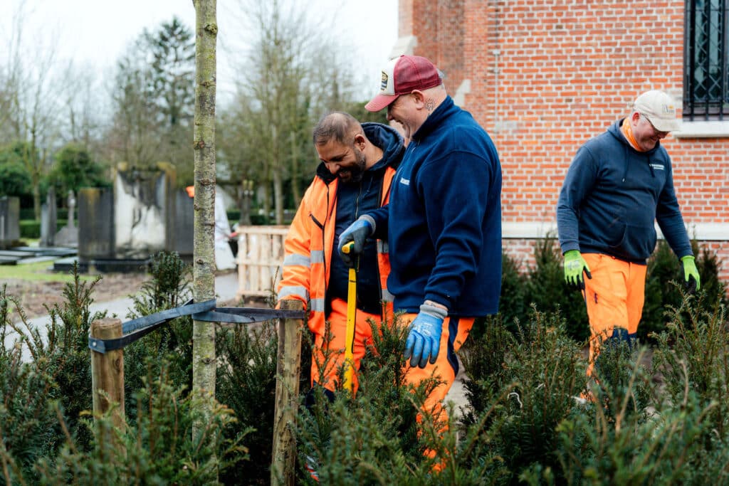Meer dan alleen zichtgroen: Wuustwezel zet in op beleving en kleinschalige groenprojecten 2