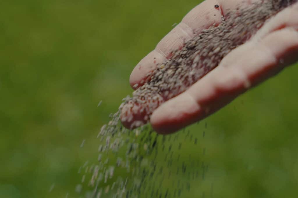 Fert In Time begeleidt terreinbeheerders met gespecialiseerd advies voor gezonde en duurzame grasmatten 1