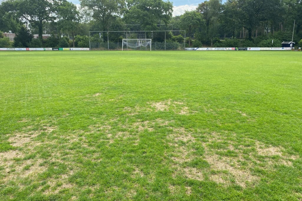 Voorjaarsdroogte heeft meer impact op sportvelden dan veel beheerders denken 3