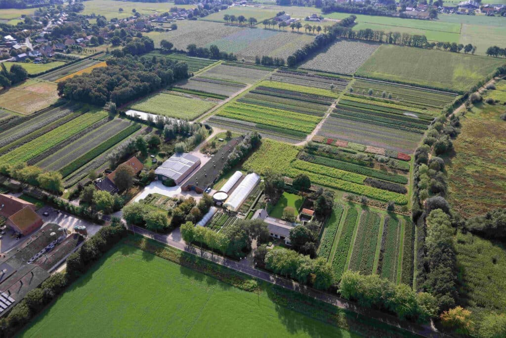 Boomkwekerij Duchêne kiest voor variatie en kwaliteit boven volume 1