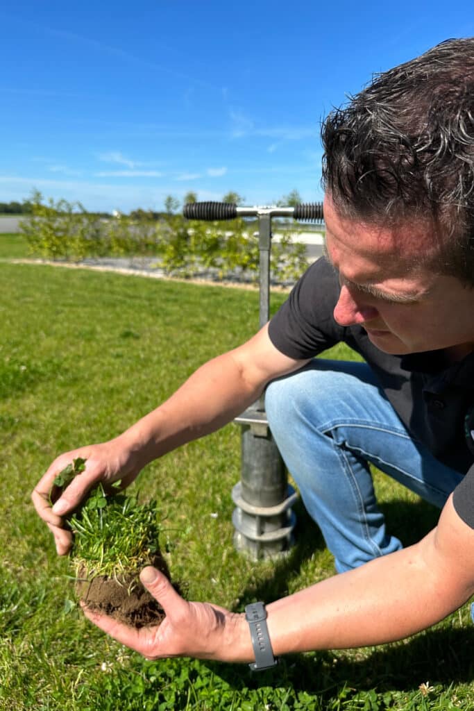Klimaatbestendig gras is meer dan enkel droogtetolerant 1