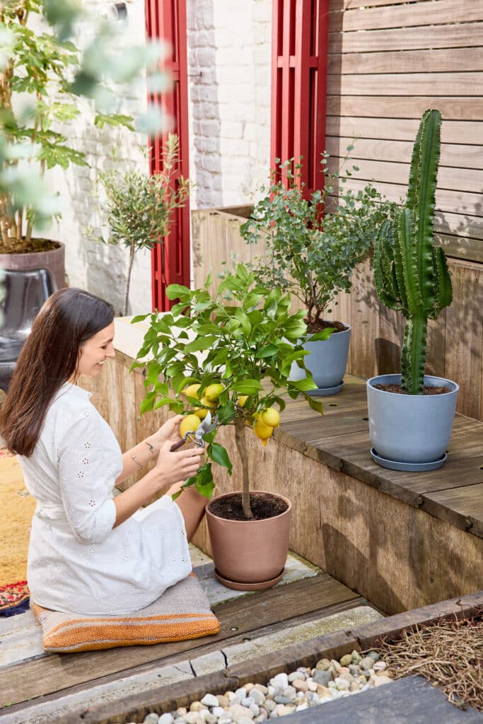 Kan een pot je plant langer doen leven? 2
