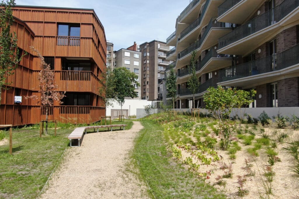 Dankzij het Greenfix Intensief Groendak gaan infiltratie en stedelijk groen hand in hand 1