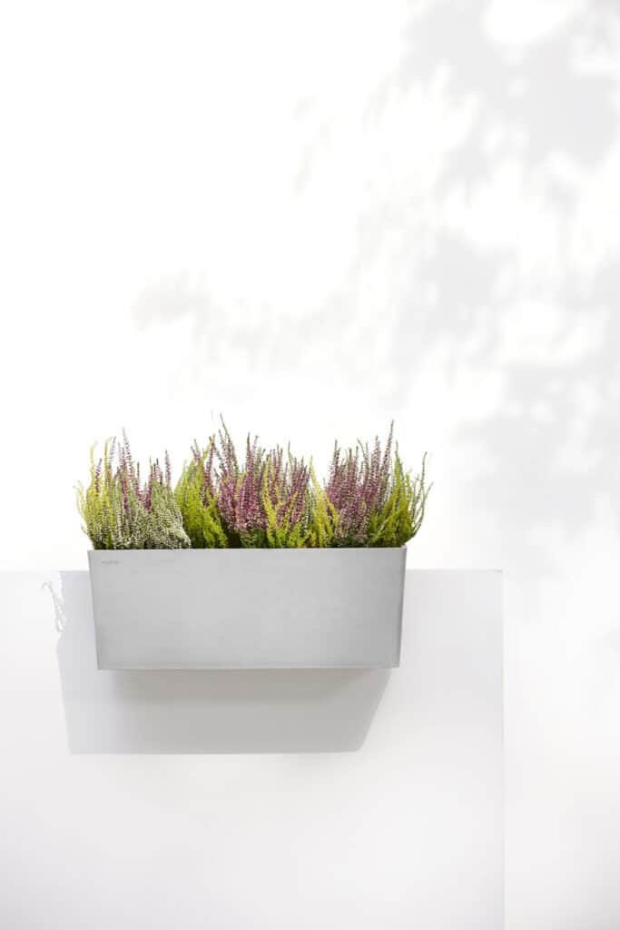 Kan een pot je plant langer doen leven? 3