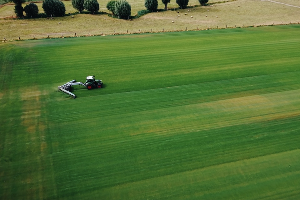 Graszoden Kwekerij Lannoo: 25 jaar passie voor topkwaliteit graszoden 2