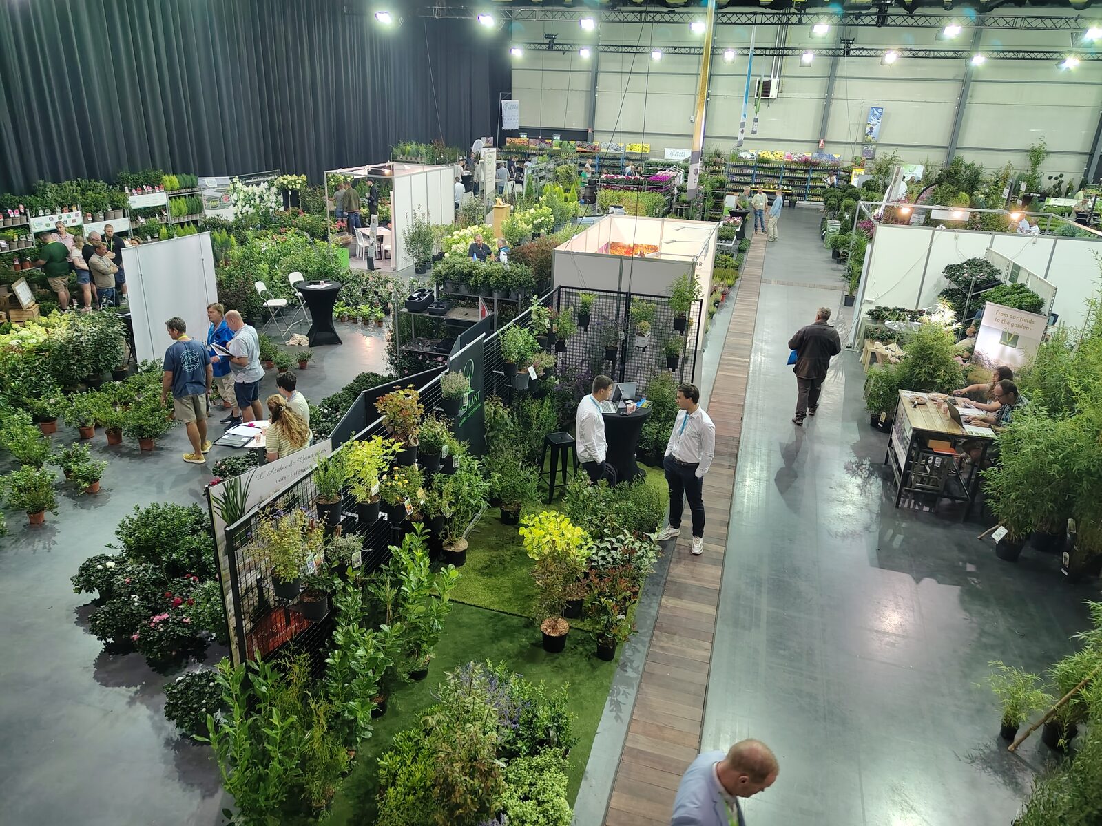 Florall koppelt seizoensaanbod aan nieuwe plantenvariëteiten