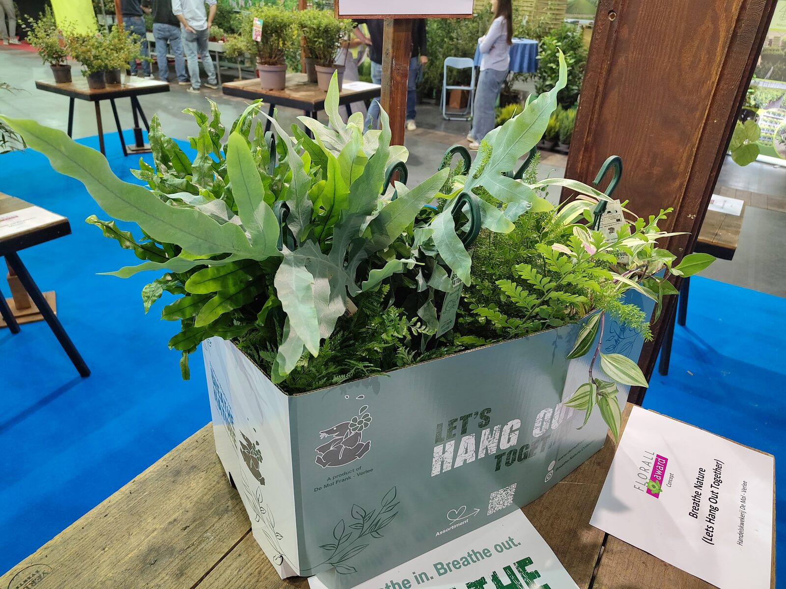 Florall koppelt seizoensaanbod aan nieuwe plantenvariëteiten 3