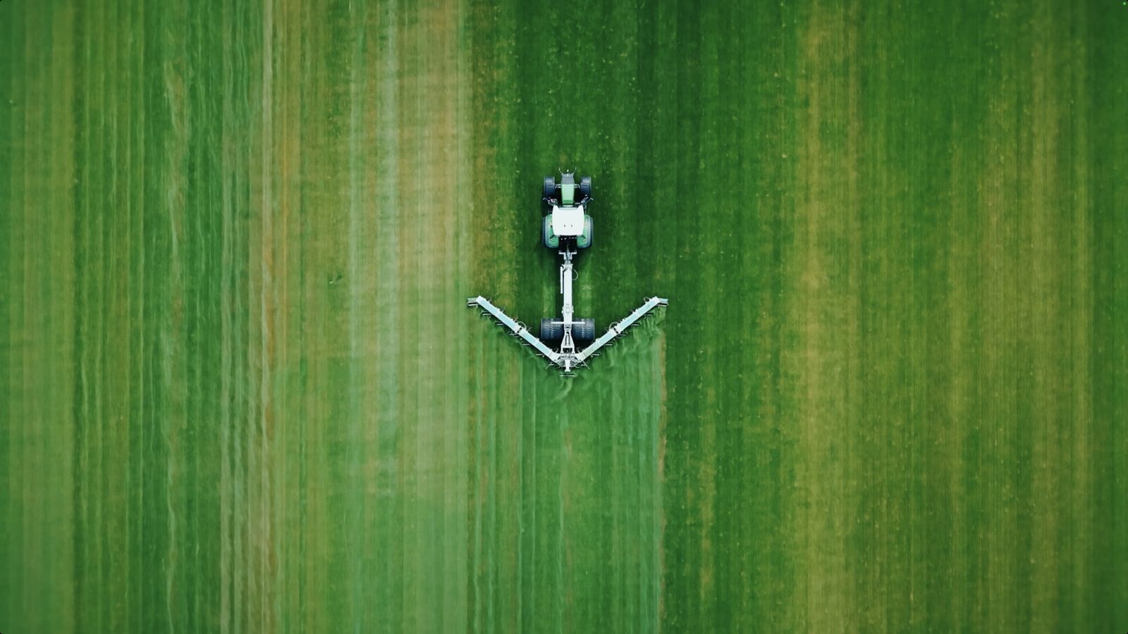 Sterk gras groeit uit vakkennis 2